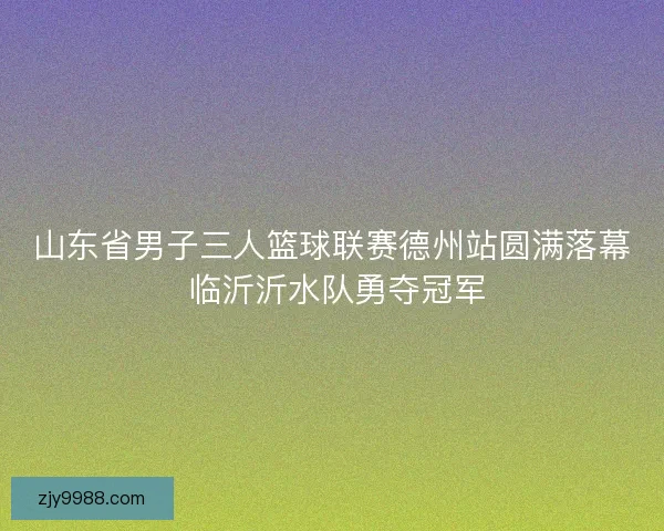 山东省男子三人篮球联赛德州站圆满落幕 临沂沂水队勇夺冠军