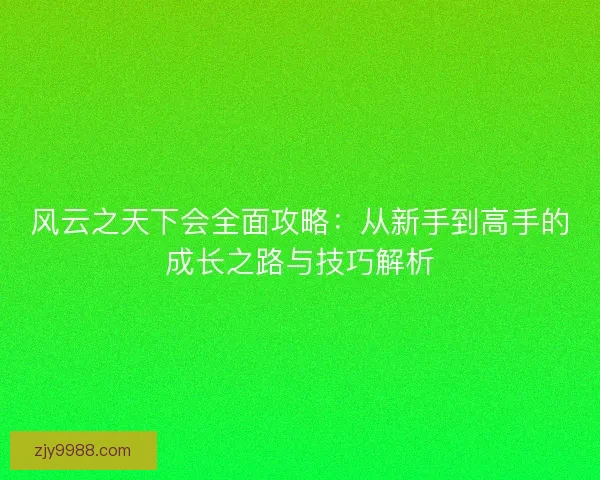 风云之天下会全面攻略：从新手到高手的成长之路与技巧解析
